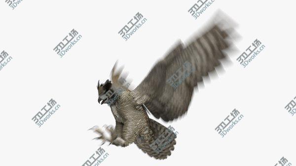 images/goods_img/20210312/3D Great Horned Owl Animated model/1.jpg